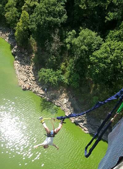 Bungee