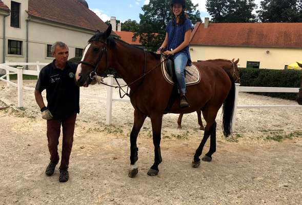 Horse riding