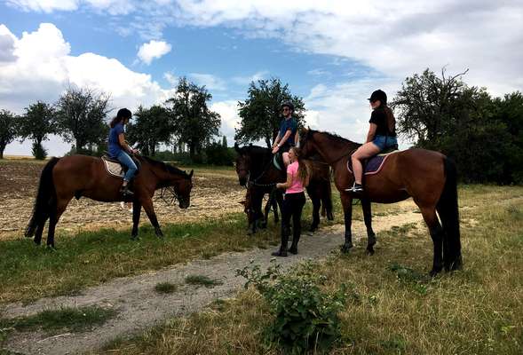 Horse riding