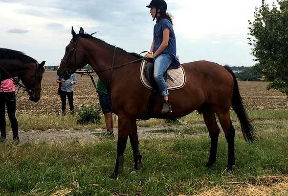 Horse riding