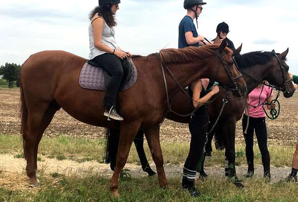 Horse riding
