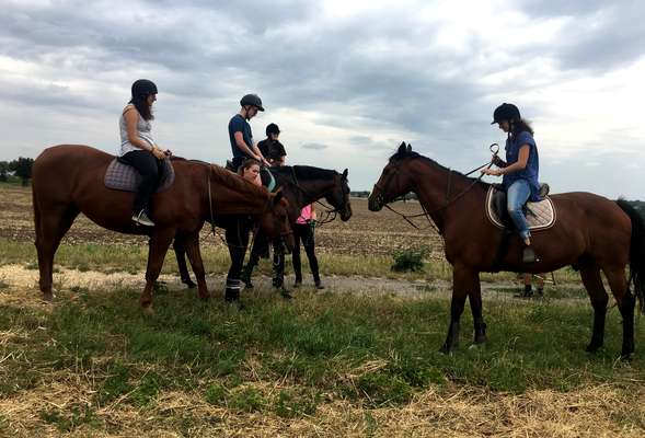 Horse riding