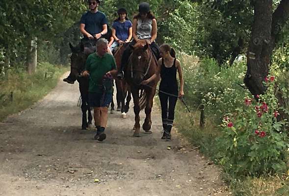 Horse riding